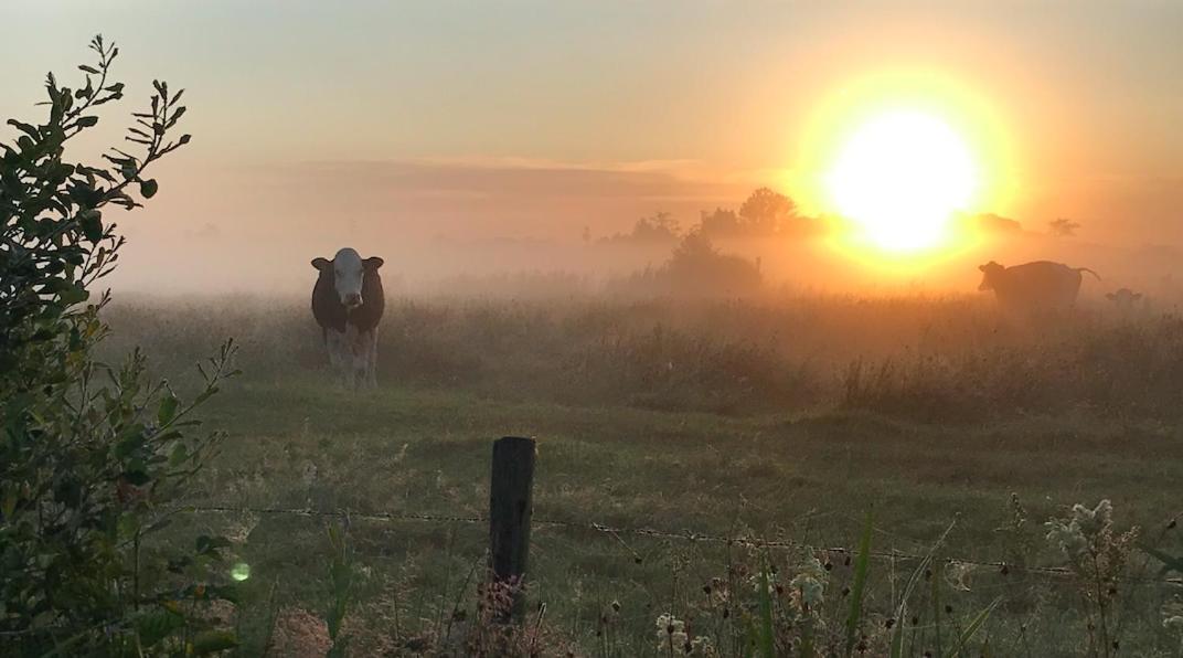 Zomerdijk-Inn Noord Wanneperveen Bagian luar foto